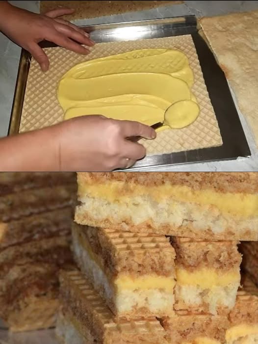 516692644_10228336750114086_7423895214784082055_n