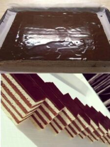 516852107_10228337701817878_3499226888610493922_n