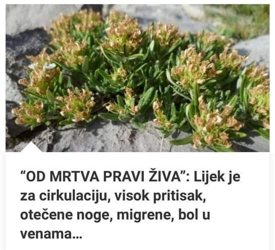 516871409_10228345042721396_8333690045474489499_n