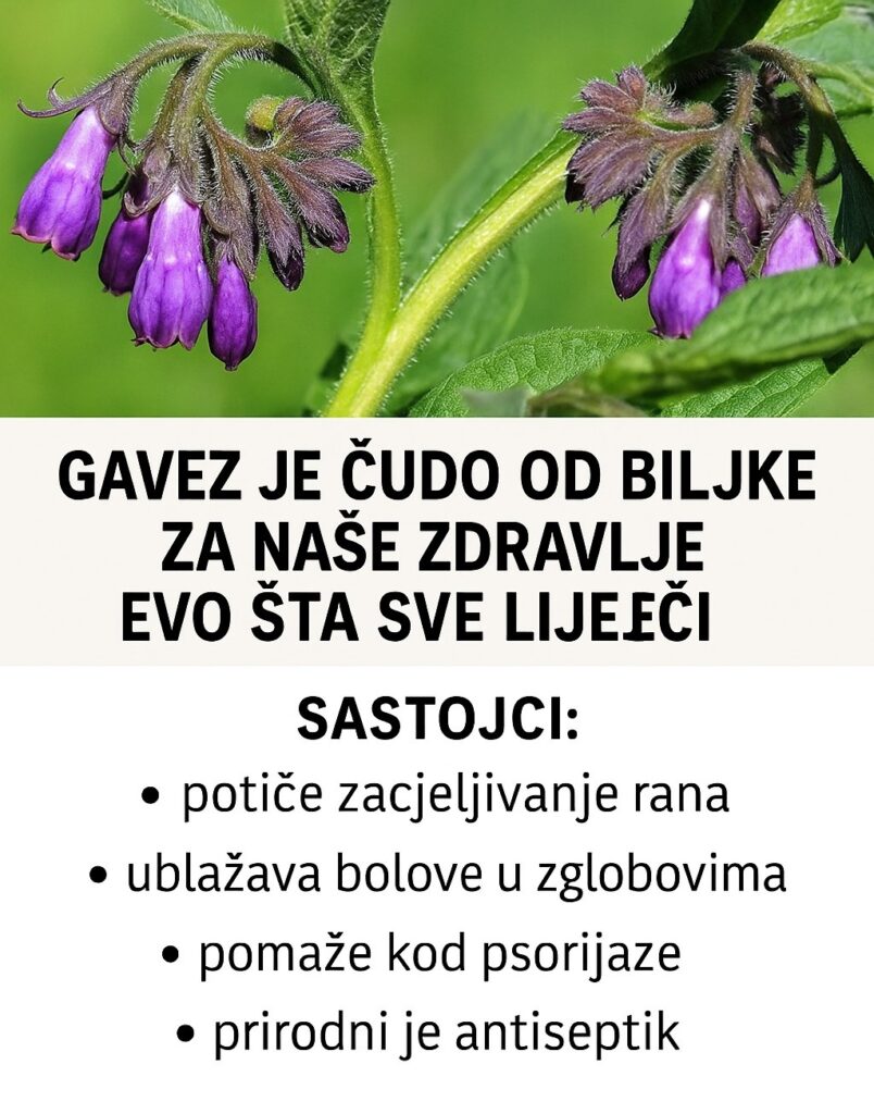 517181394_10228345830381087_3204929390222728402_n