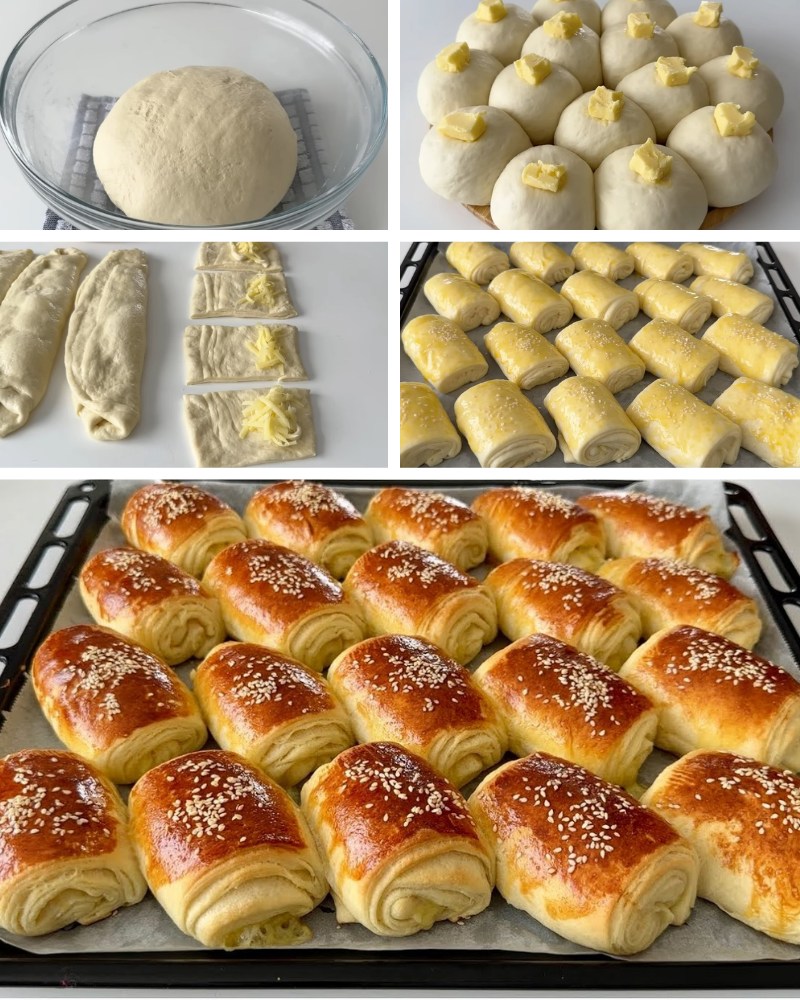 517377554_10228338579959831_3784857618689645937_n