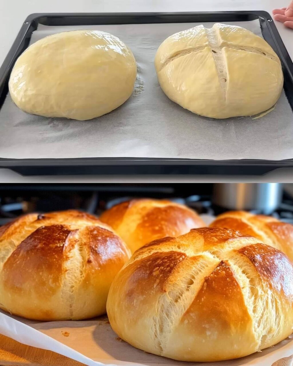 518174346_10228333469872082_3370180424867009493_n