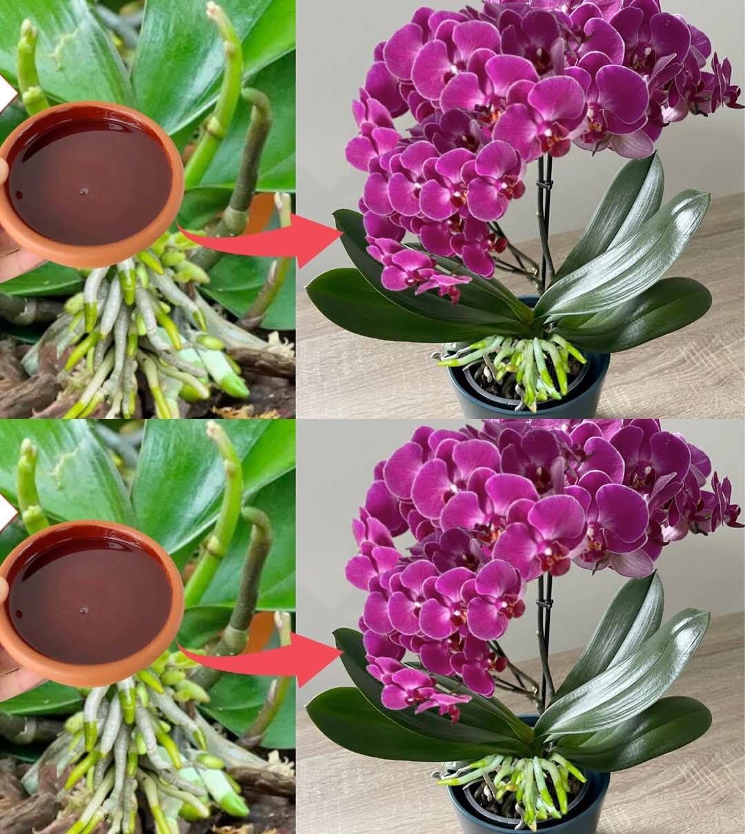 518295595_10228337175364717_5715103181152444073_n