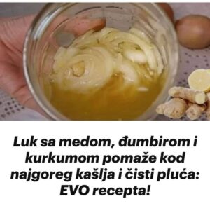 518326947_10228337502092885_897268125638984868_n