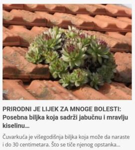 520393443_24249351904697890_2417226286253610599_n