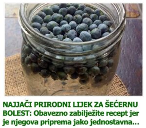 522633713_24240781105554970_1844912317363624226_n