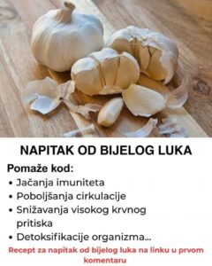 524338629_10228519312318027_7528905342668918964_n