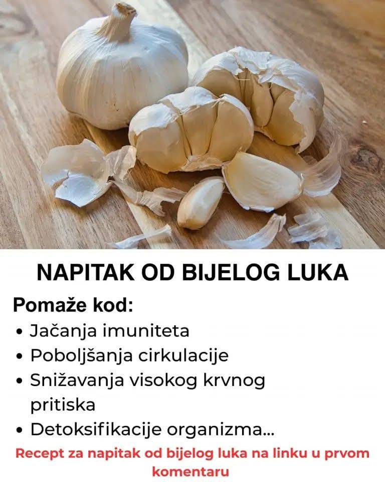 524338629_10228519312318027_7528905342668918964_n