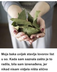 525714474_1334972108189502_5304733155132459957_n