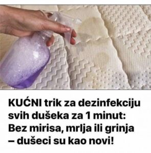 533086806_24451923204440758_2548842259940835193_n