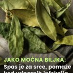 JAKO MOĆNA BILJKA: Spas je za srce, pomaže kod urinarnih infekcija i upale zglobova…