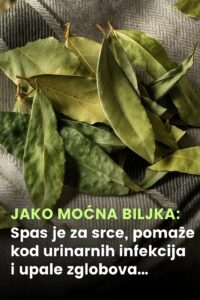 534297492_10228732618730554_8731718999581597214_n