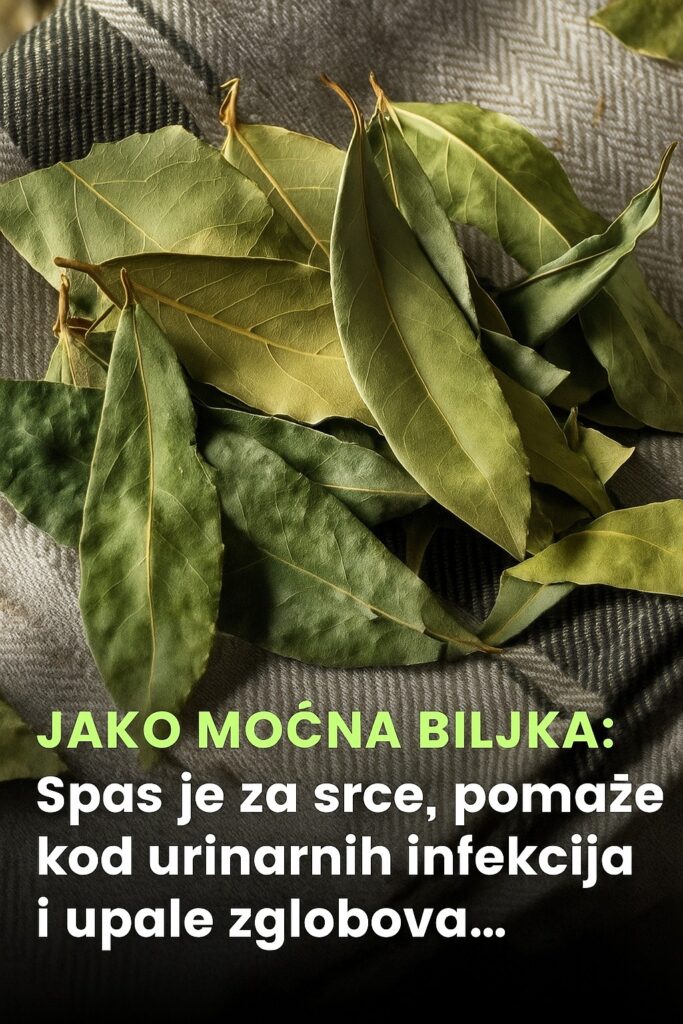 534297492_10228732618730554_8731718999581597214_n