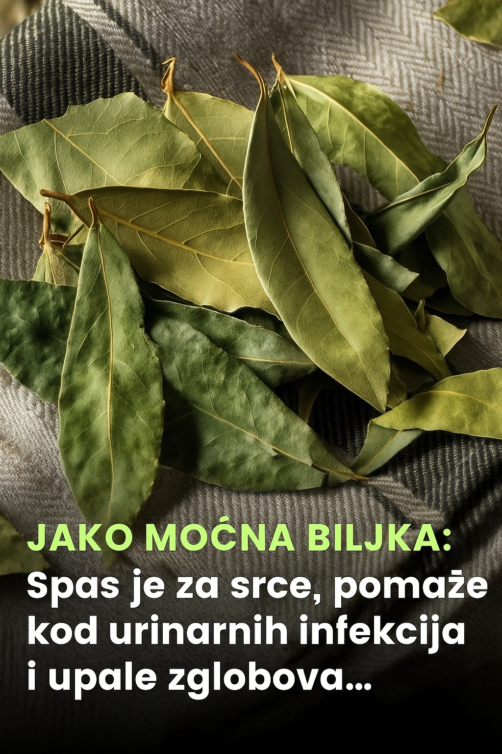 534297492_10228732618730554_8731718999581597214_n