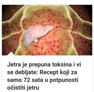 535452804_10228763430420827_4325046578289505205_n