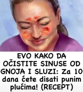 550853392_10229070987709567_1868557312469659802_n