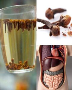 576806631_10229533112342394_5982894866136719106_n