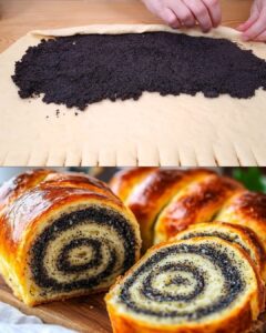 581151312_10229587011249833_2630066693624776853_n