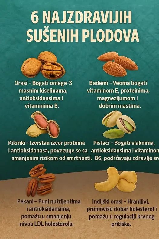 583335669_25355713267395076_4451759078395786601_n