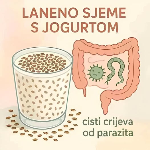 584096000_10229687181034015_360538778407485809_n