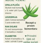 ZA ŠTA JE DOBRA ALOE VERA?…Najjači lijek za vid na svijetu