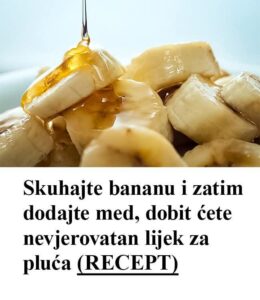 593612072_10229826523957501_6535388736302018381_n