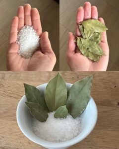 597444483_10229891254175716_2569356314646176265_n