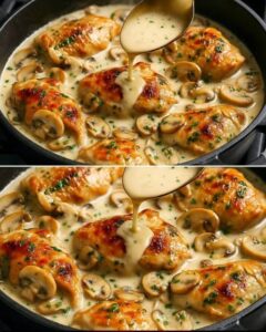 597661352_25525575320408869_949893532482560149_n