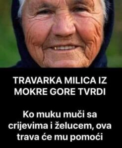 597881187_10229929839380322_8036822808911549189_n