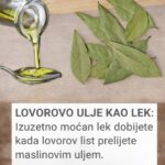 ZABORAVITE NA BOL U ZGLOBOVIMA: Drevni recept od lovora i maslinovog ulja koji “podmazuje” vaša koljena!