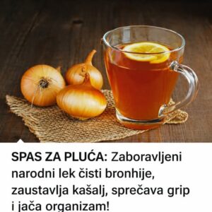 603856214_10230043195574156_4941622858722696006_n