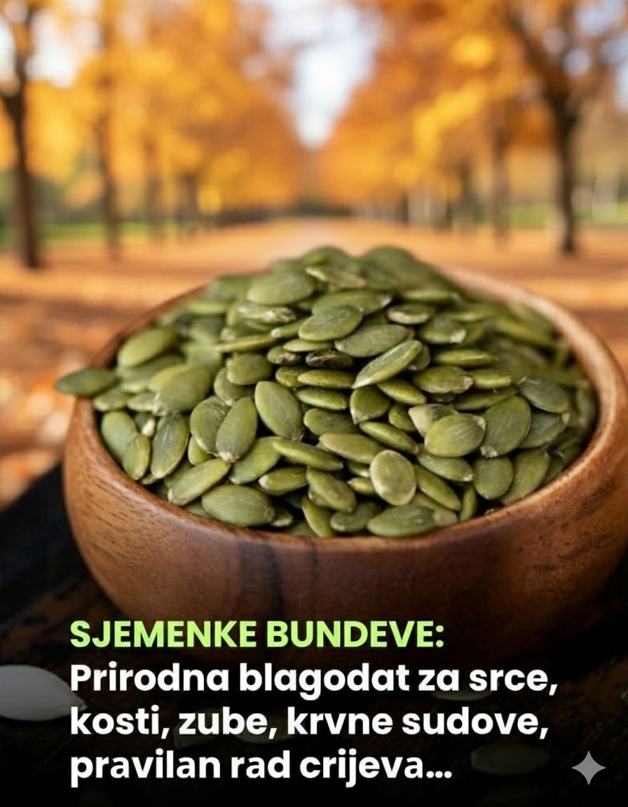 605084203_10230042680081269_6826931970820273647_n