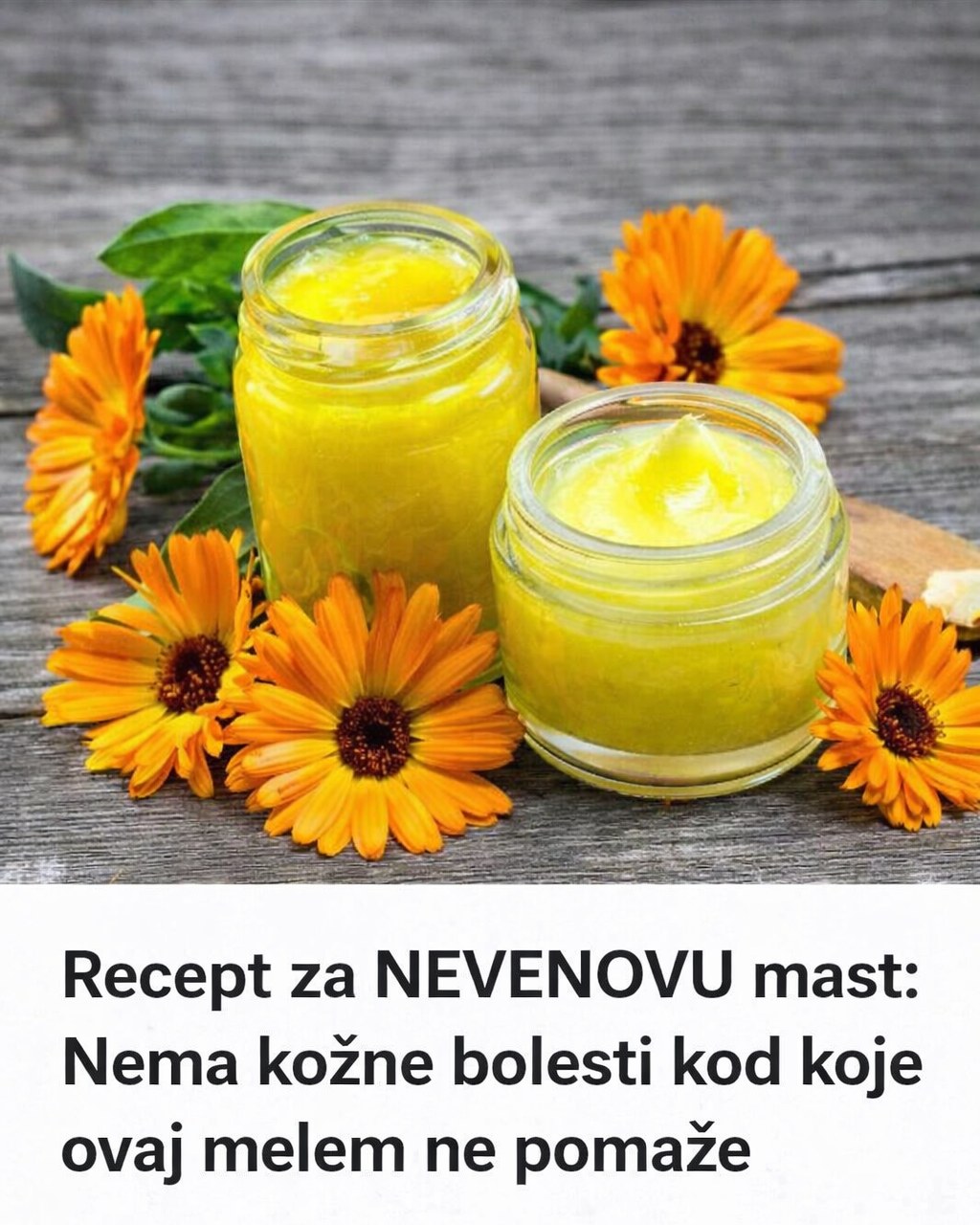 605548277_1278239984337169_3572175482581442173_n