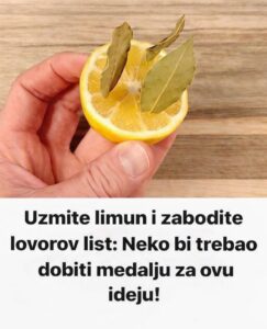 605649359_1275477167946784_5910977326581706418_n