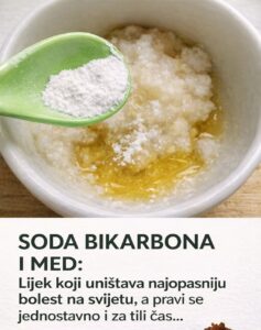 611163585_1284203280407506_5181620412763622366_n