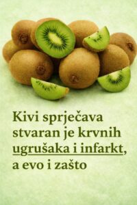 611180675_1193133029587307_4601418984747099818_n