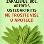 UNIŠTAVA DEMENCIJU, UPALU, B0L, ARTRITIS, 0STE0ARTRITIS (NE TR0ŠITE VIŠE N0VAC U AP0TECI)
