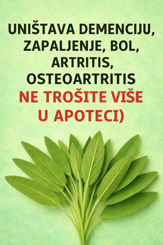 613618814_122206134770367064_2085524847599652223_n