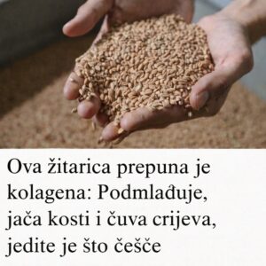 613649287_1284873837007117_636144156712526427_n