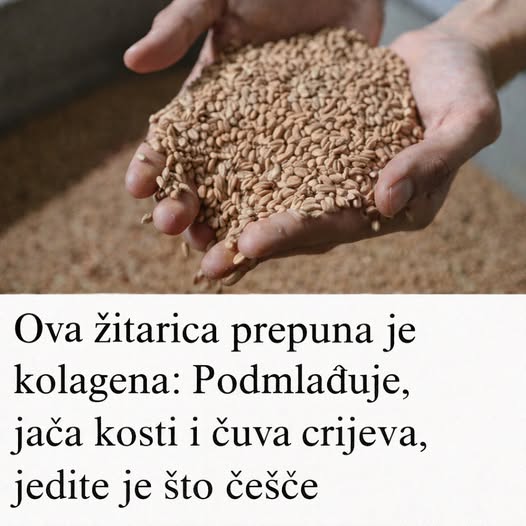 613649287_1284873837007117_636144156712526427_n