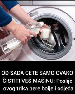 614198615_1286364703524697_1898498499779790722_n