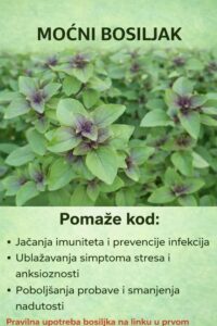 615291493_122207121866367064_8547530226712161985_n