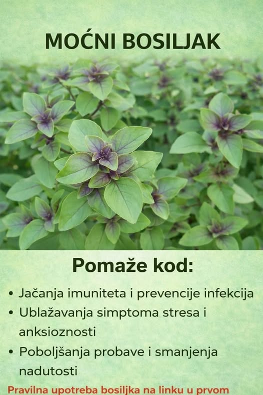 615291493_122207121866367064_8547530226712161985_n