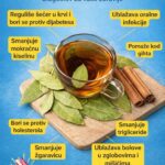 ČAJ OD LOVOROVOG LISTA I CIMETA:Blagoslov za vaše zdravlje