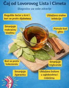 615534117_122150775374720928_1910062802115701715_n