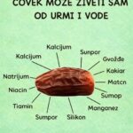 NAJZDRAVIJE V0ĆE na Zemlji (M0J djed je ŽIVI0 preko 1OO godina sa 7 hurmi DNEVN0) !