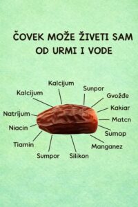 615695093_1475496614137050_2401015701553355684_n