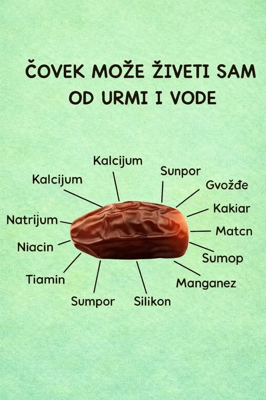 615695093_1475496614137050_2401015701553355684_n