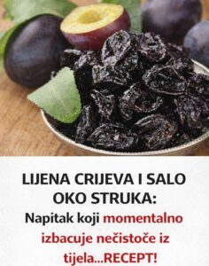 615983888_1291554366339064_8719965056600169876_n