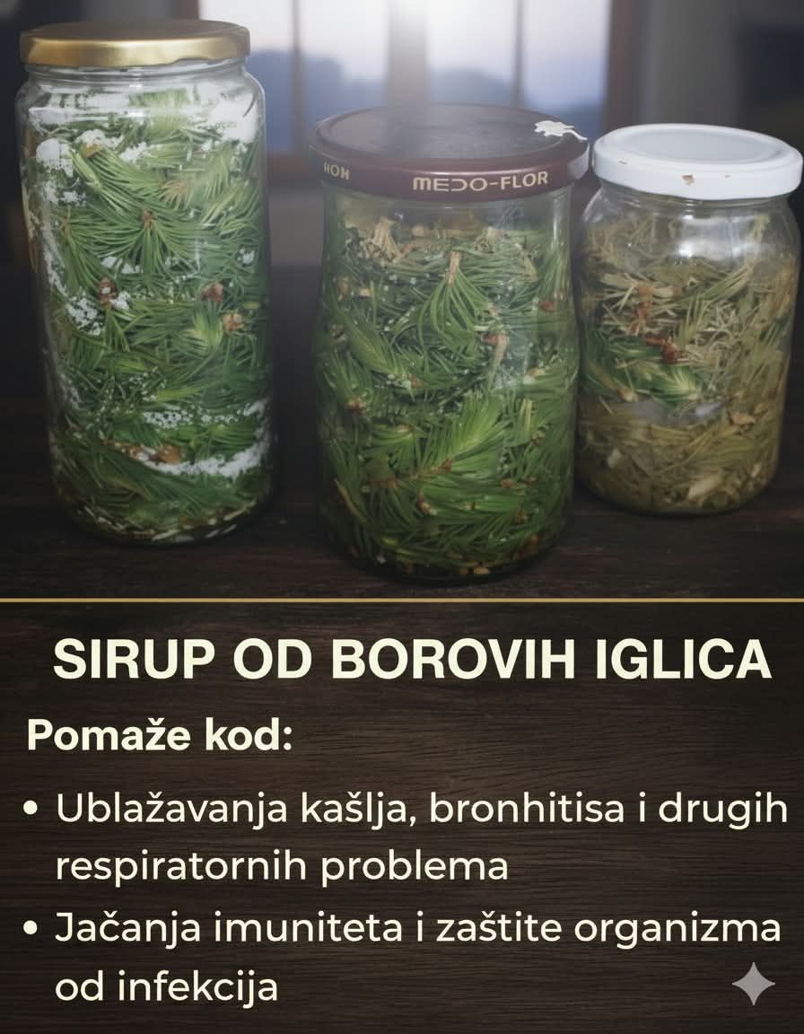 617476079_122161114922694359_9133910989583933888_n